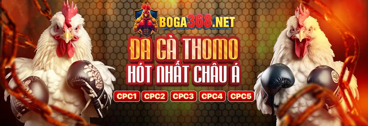 Hướng dẫn dành cho người mới bắt đầu tại iwin Club Casino